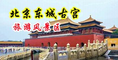 明星大鸡巴插BB视频中国北京-东城古宫旅游风景区